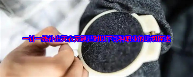 一针一线补出天衣无缝是对以下哪种职业的贴切描述