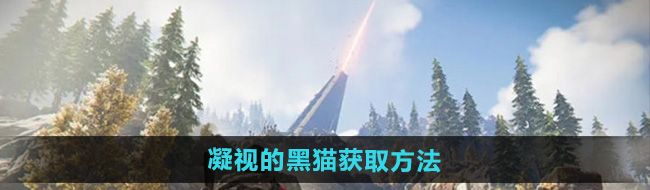 《七日世界》凝视的黑猫获取方法