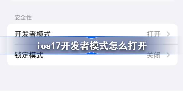 ios17开发者模式怎么打开 ios17开发者模式不见了