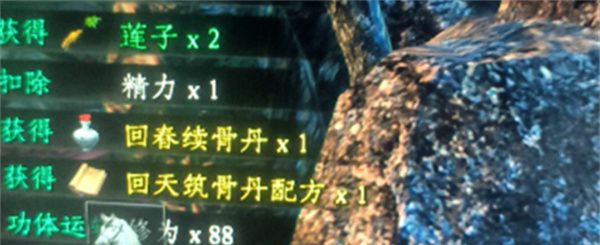 《下一站江湖2》六婶救治方法分享