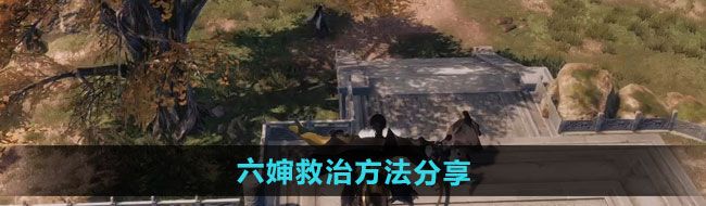 《下一站江湖2》六婶救治方法分享