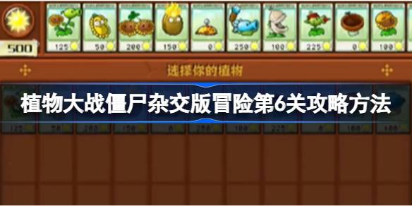 植物大战僵尸杂交版冒险第6关怎么打 植物大战僵尸杂交版冒险第6关攻略方法