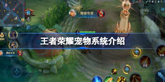 王者荣耀宠物系统怎么设置 王者荣耀宠物系统介绍