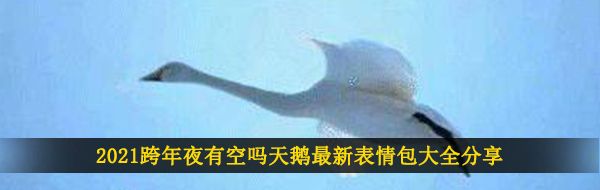 2021跨年夜有空吗天鹅最新表情包大全分享