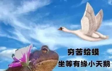 2021跨年夜有空吗天鹅最新表情包大全分享