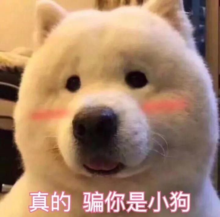 王者之路很难？放弃你的李白 不妨用这四大英雄试试