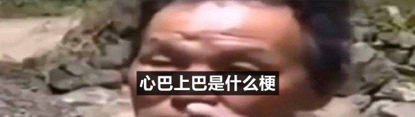 心巴上巴是什么梗