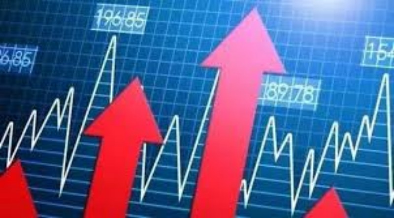 疫情后冲击下的散户行为：将对金融市场未来走向产生怎样的变化？